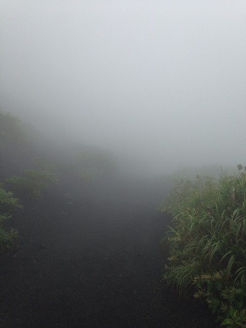 f:id:akoh1214:20140611082919j:plain f:id:akoh1214:20140611082919j:plain