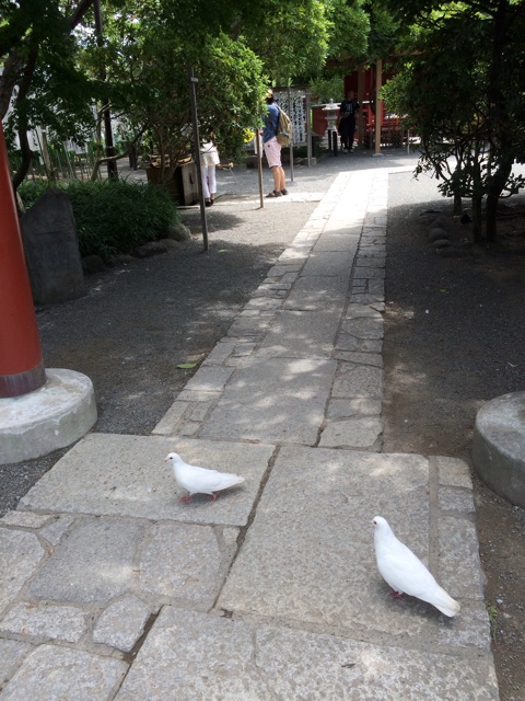 f:id:akoh1214:20140812234848j:plain f:id:akoh1214:20140812234848j:plain
