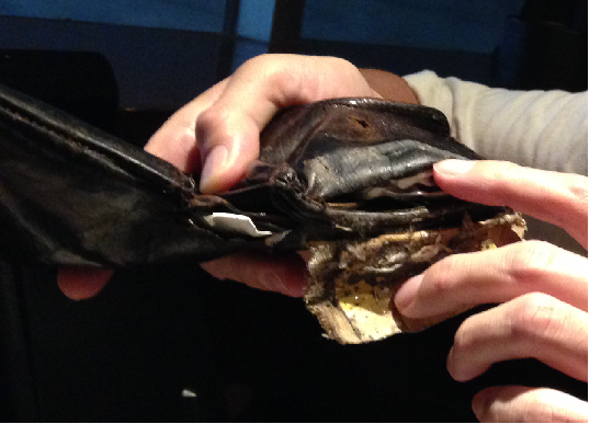 f:id:aku_soshiki:20140708015121p:plain f:id:aku_soshiki:20140708015121p:plain