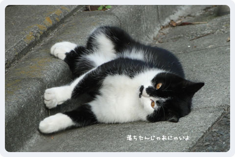 f:id:akuyan:20110913010141j:image