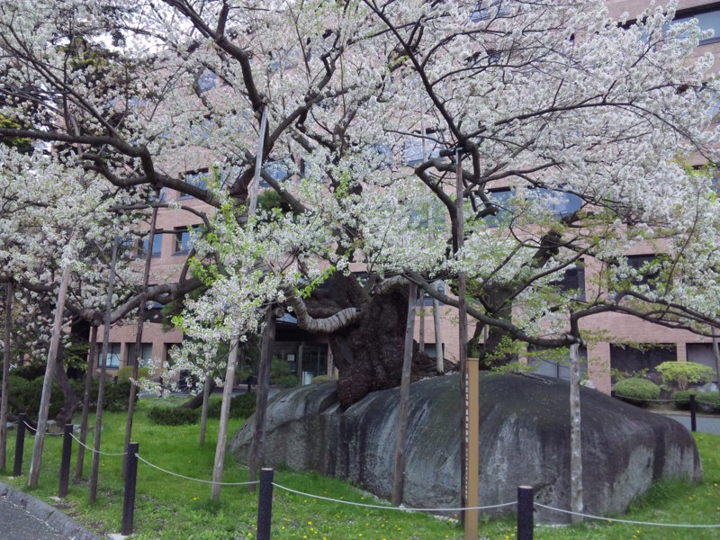 f:id:al-es:20110507113402j:image