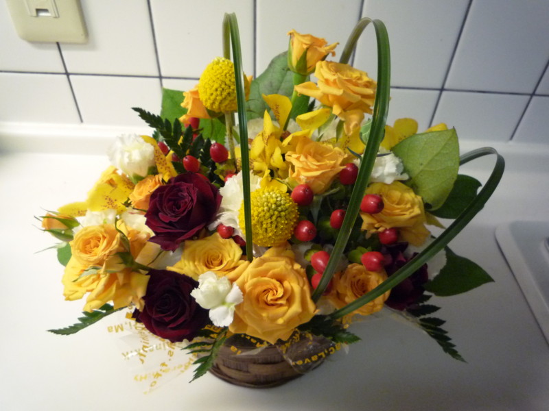 f:id:aladin_a4:20100428000628j:image:h150:w200:left