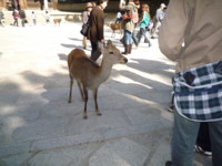 f:id:aladin_a4:20101103121216j:image f:id:aladin_a4:20101103121216j:image