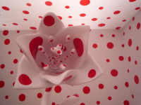 f:id:aladin_a4:20120303143745j:image