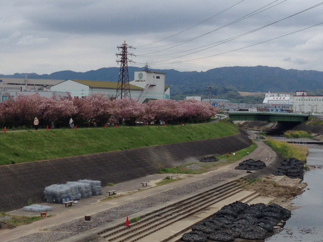 f:id:aladin_a4:20140420143047j:image:w320