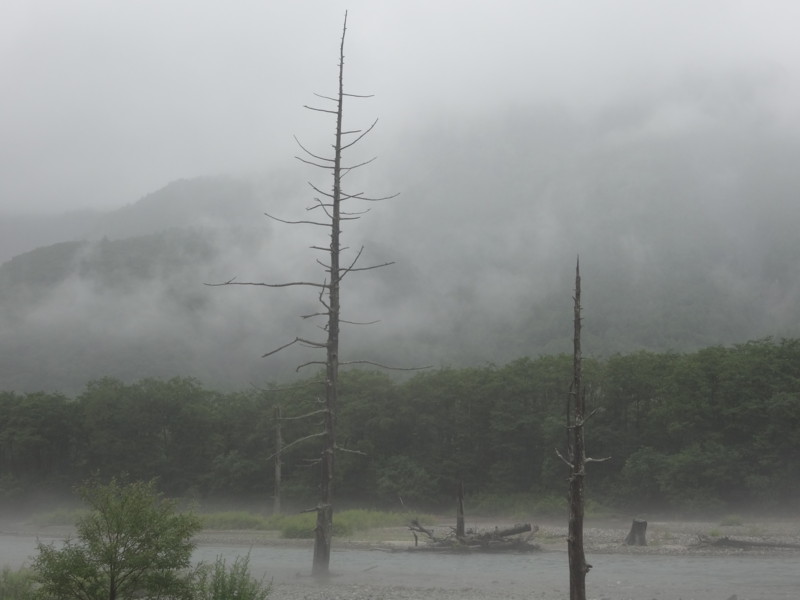 f:id:aladin_a4:20140815222436j:image:w200:h150:left
