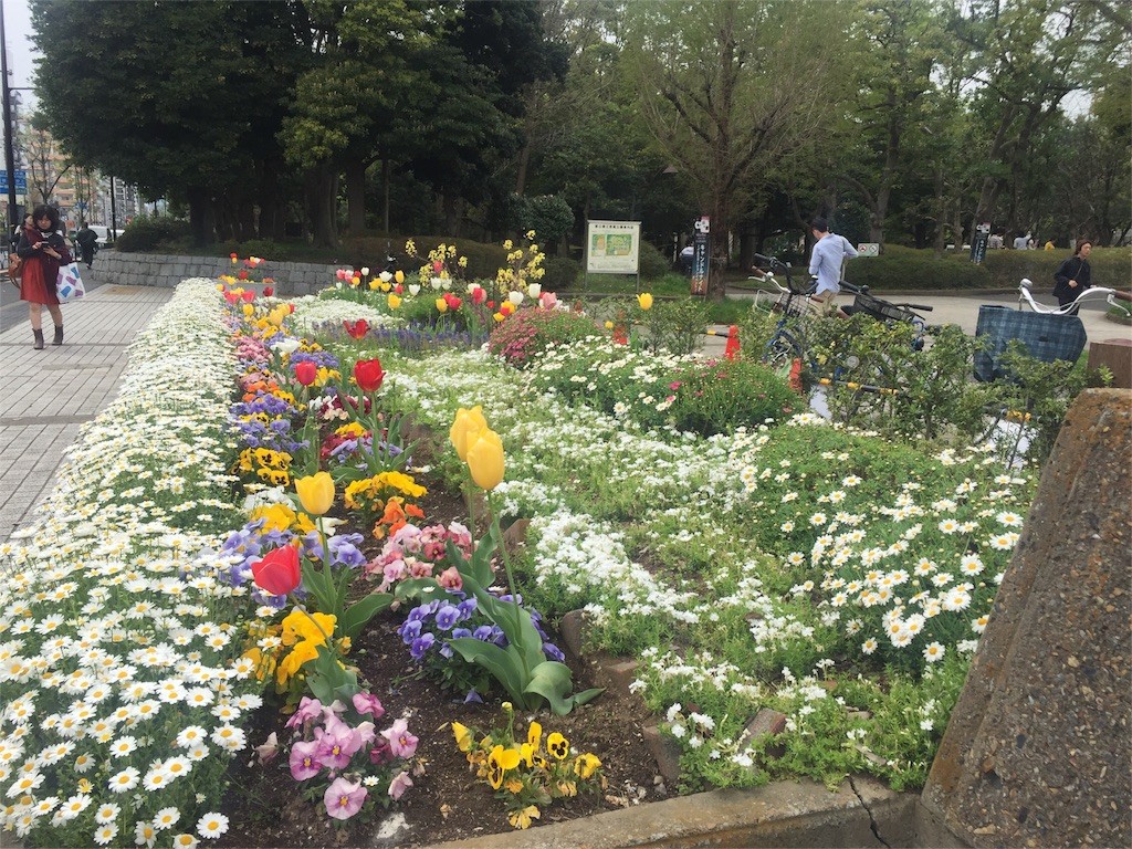 f:id:aladin_a4:20160410164104j:image