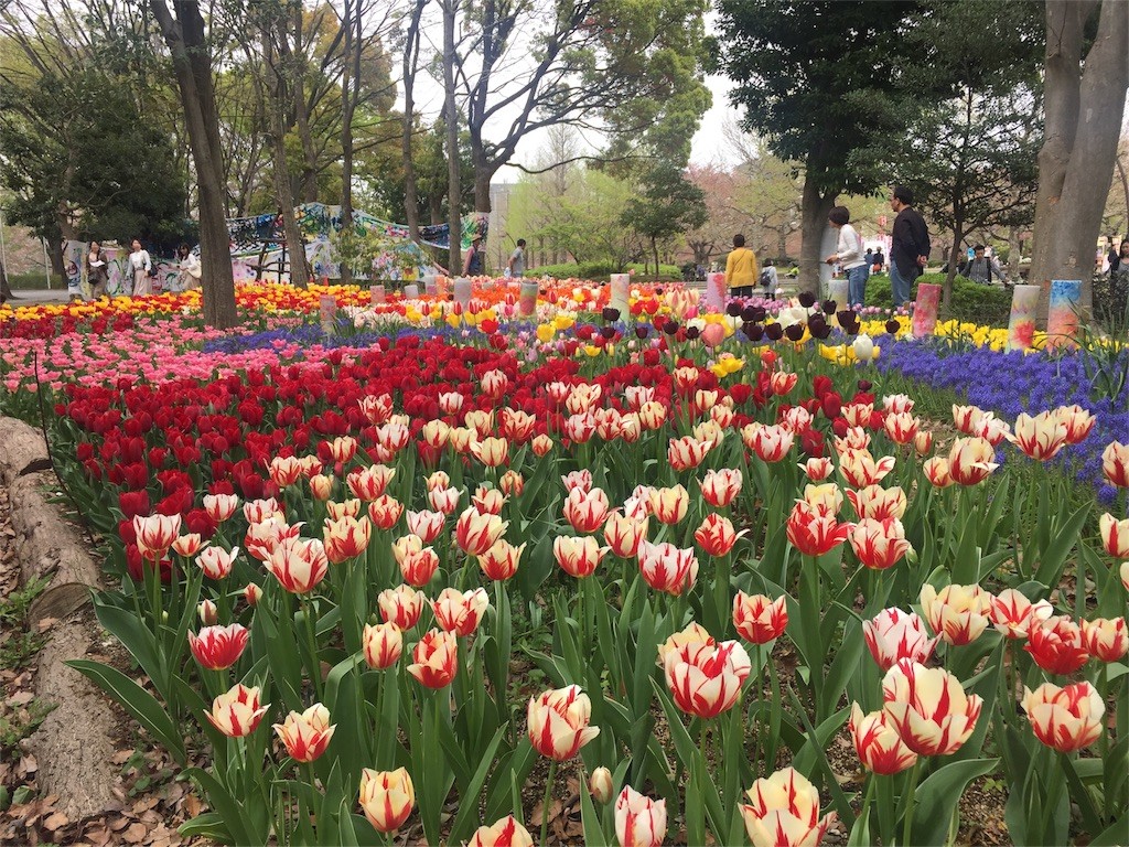 f:id:aladin_a4:20160410164112j:image