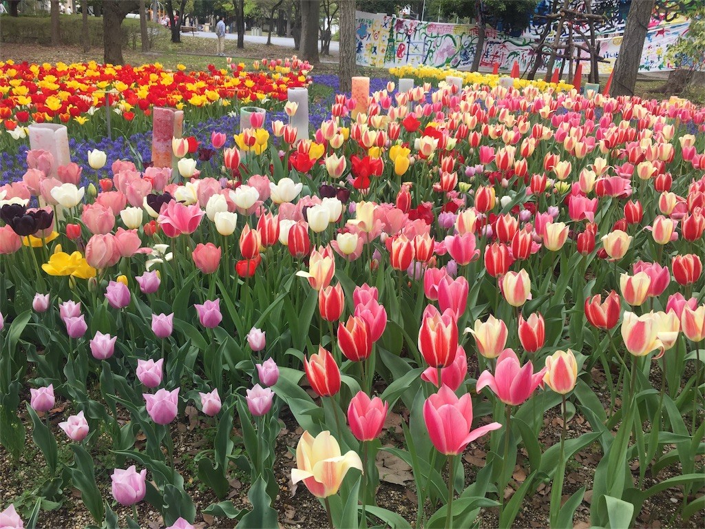 f:id:aladin_a4:20160410164525j:image