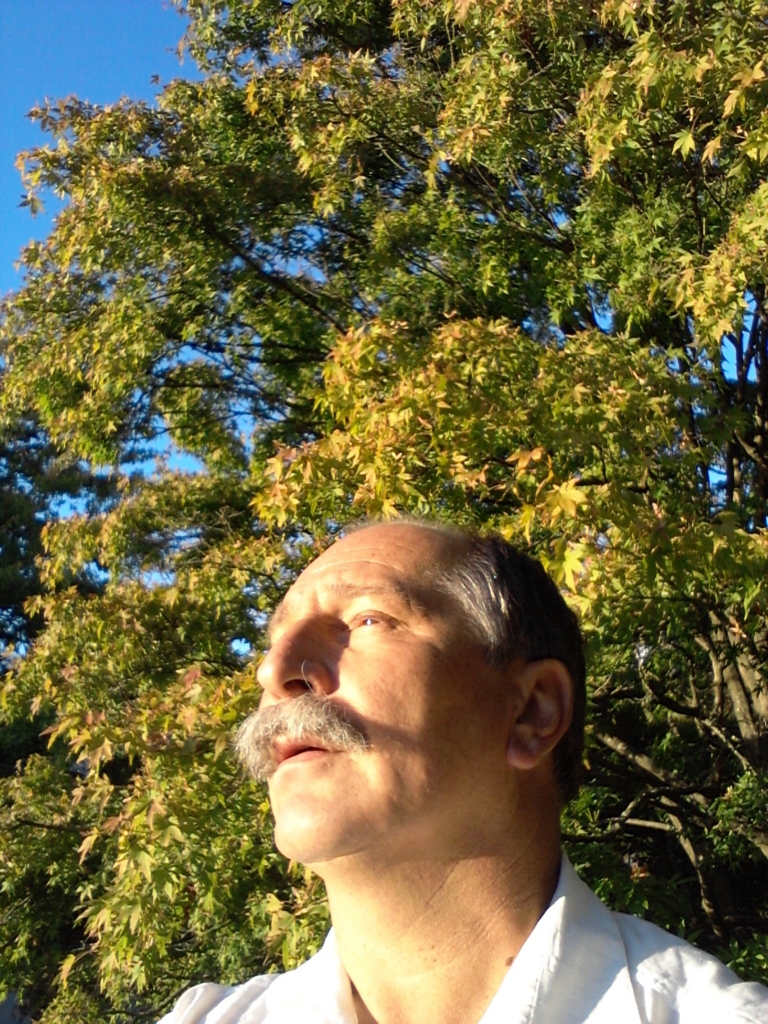 f:id:aleksandarsatara:20151225134237j:plain f:id:aleksandarsatara:20151225134237j:plain