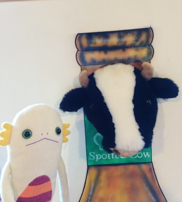 f:id:alientravel:20150912110431j:plain f:id:alientravel:20150912110431j:plain