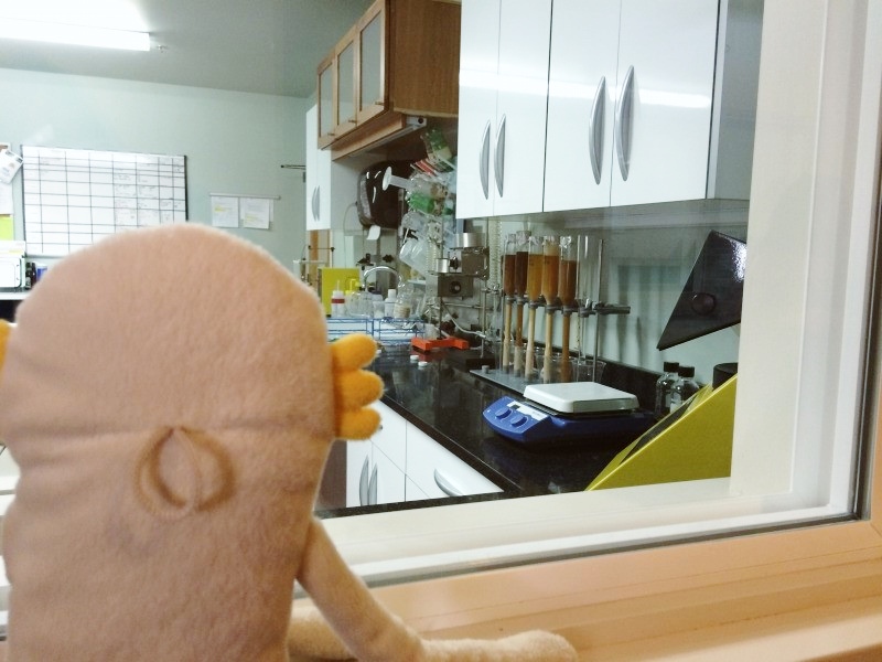 f:id:alientravel:20150912110643j:plain f:id:alientravel:20150912110643j:plain