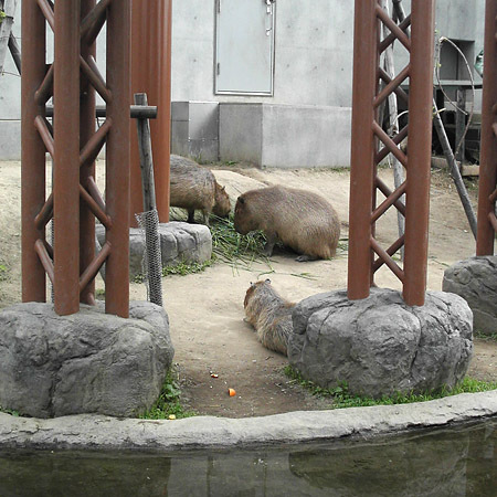 f:id:align_centre:20070630141026j:image:h320 f:id:align_centre:20070630141026j:image:h320