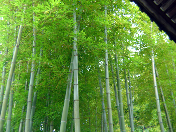 f:id:allenkk:20120325201434j:image f:id:allenkk:20120325201434j:image