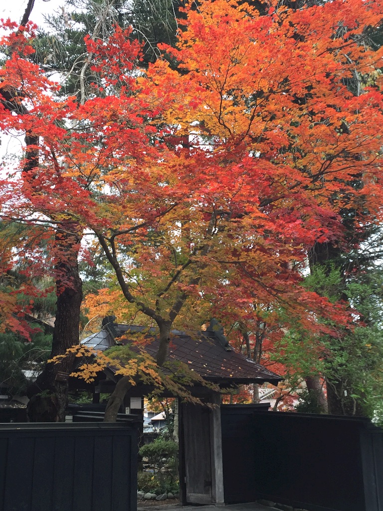 f:id:almikan88:20151101222011j:image f:id:almikan88:20151101222011j:image