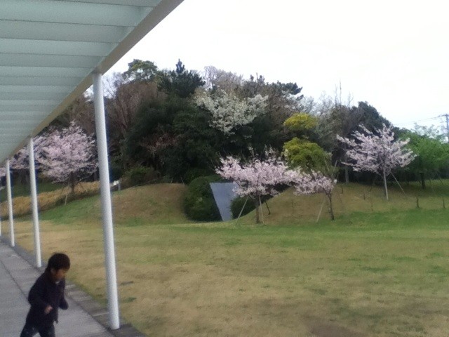 f:id:almondeyed:20150407085403j:plain f:id:almondeyed:20150407085403j:plain