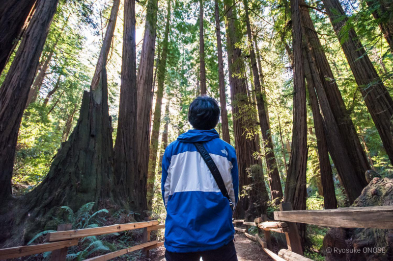 f:id:alog:20150420203145j:plain f:id:alog:20150420203145j:plain