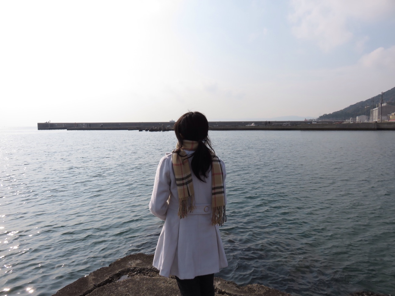 f:id:alternativedestiny:20141225130225j:plain f:id:alternativedestiny:20141225130225j:plain