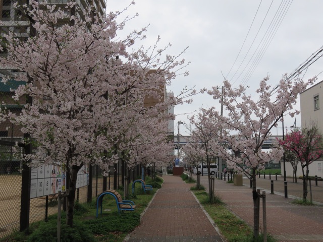 f:id:alternativedestiny:20150409085920j:plain f:id:alternativedestiny:20150409085920j:plain