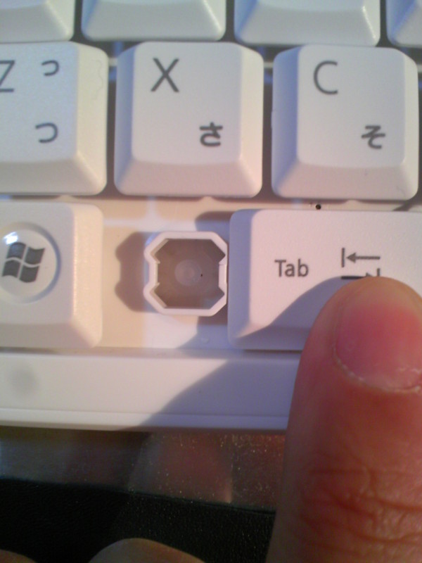 f:id:altocicada:20100228221938j:image f:id:altocicada:20100228221938j:image