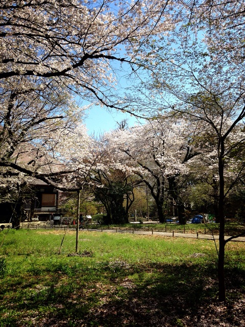 f:id:amanedoll:20140405085129j:plain f:id:amanedoll:20140405085129j:plain