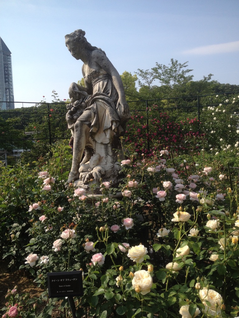f:id:amaonlinefromjp:20160515134716j:image f:id:amaonlinefromjp:20160515134716j:image