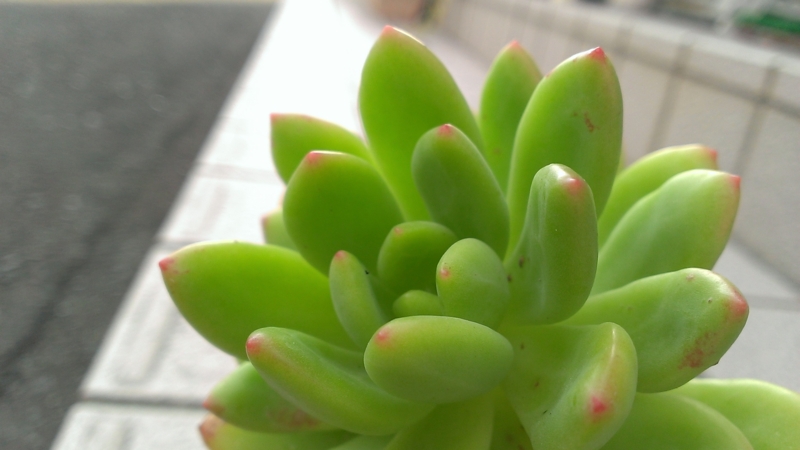 f:id:amaterasu1260:20130830170519j:plain