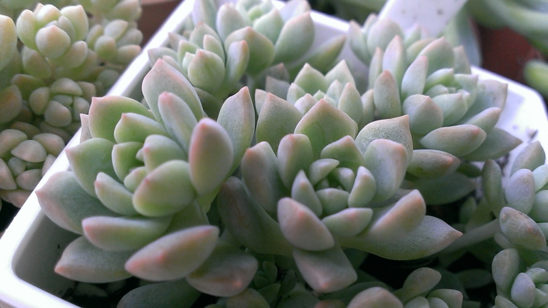 f:id:amaterasu1260:20130830170715j:plain