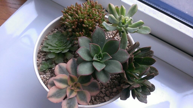 f:id:amaterasu1260:20131023162813j:plain f:id:amaterasu1260:20131023162813j:plain