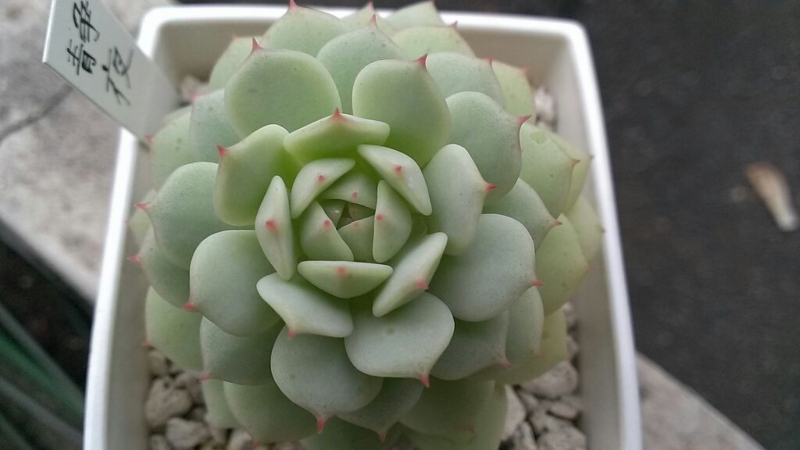 f:id:amaterasu1260:20131023164005j:plain f:id:amaterasu1260:20131023164005j:plain