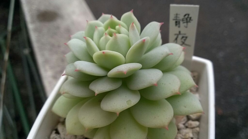 f:id:amaterasu1260:20131023164110j:plain