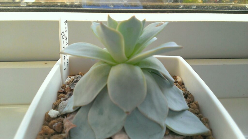 f:id:amaterasu1260:20131101170831j:plain f:id:amaterasu1260:20131101170831j:plain