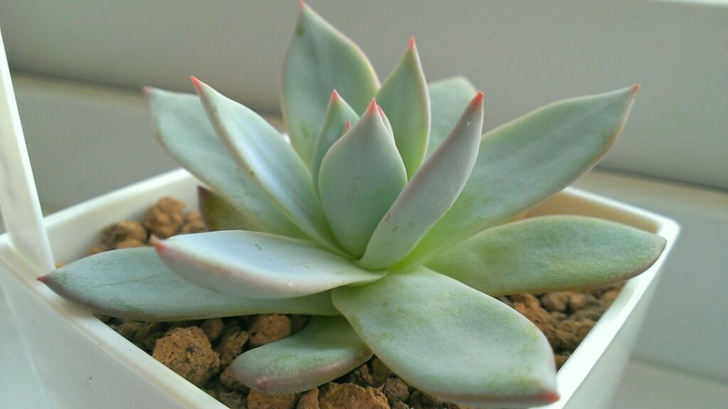 f:id:amaterasu1260:20131101171457j:plain f:id:amaterasu1260:20131101171457j:plain