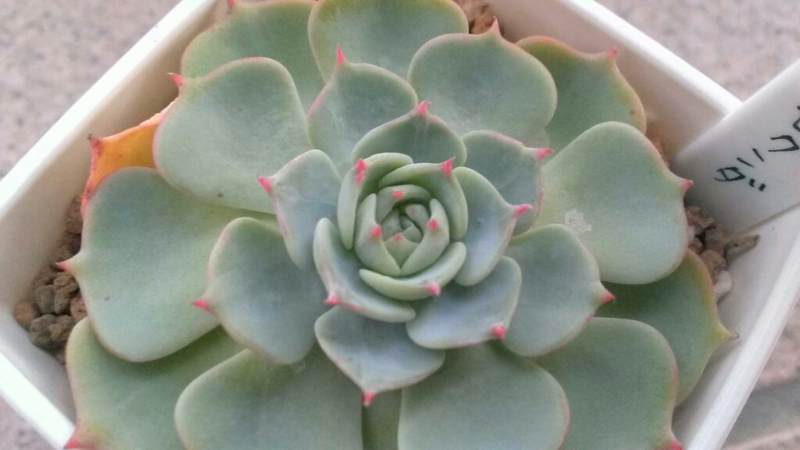 f:id:amaterasu1260:20131106170020j:plain f:id:amaterasu1260:20131106170020j:plain