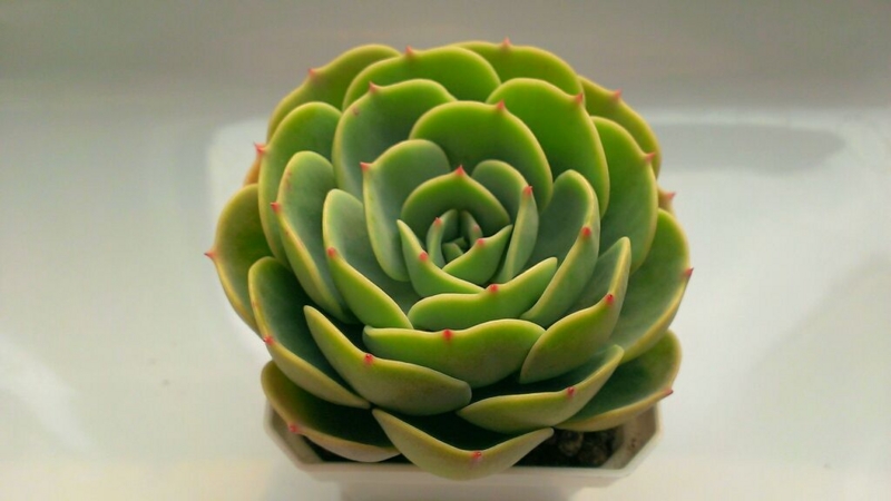 f:id:amaterasu1260:20140217131552j:plain