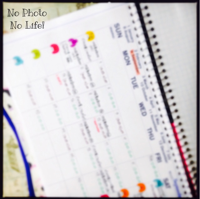 f:id:amelie43:20140828094125j:plain f:id:amelie43:20140828094125j:plain
