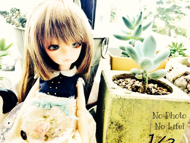 f:id:amelie43:20140831115547j:plain f:id:amelie43:20140831115547j:plain