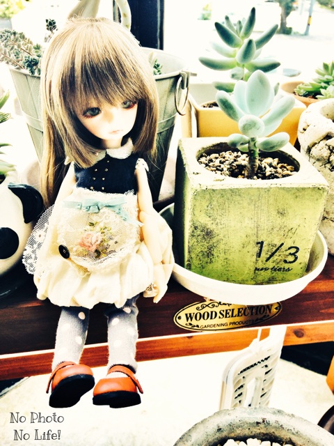 f:id:amelie43:20140831115559j:plain f:id:amelie43:20140831115559j:plain