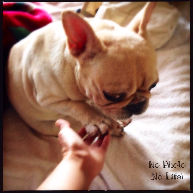 f:id:amelie43:20140922220743j:plain f:id:amelie43:20140922220743j:plain