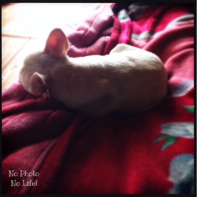 f:id:amelie43:20140922220929j:plain f:id:amelie43:20140922220929j:plain