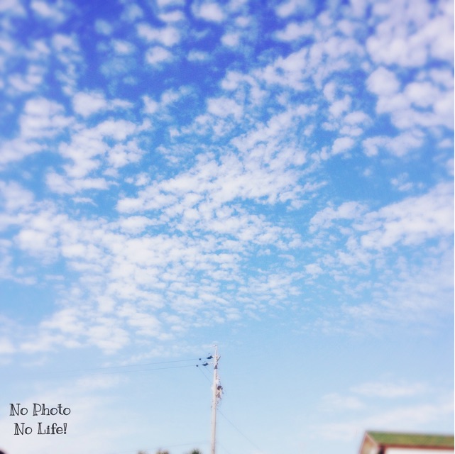 f:id:amelie43:20141029223713j:plain f:id:amelie43:20141029223713j:plain
