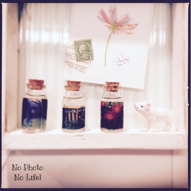 f:id:amelie43:20141103173816j:plain f:id:amelie43:20141103173816j:plain