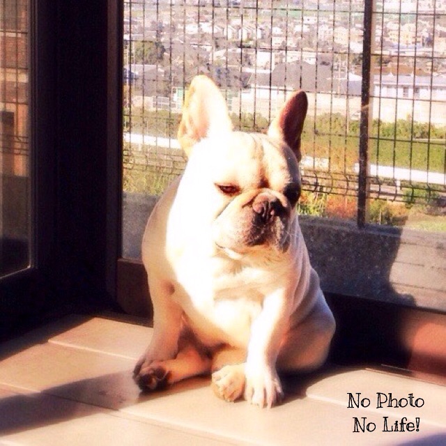 f:id:amelie43:20141105233502j:plain f:id:amelie43:20141105233502j:plain