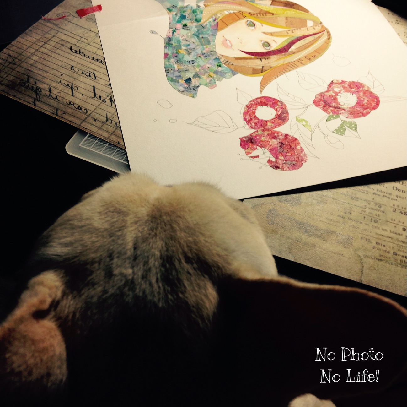 f:id:amelie43:20150108012644j:plain f:id:amelie43:20150108012644j:plain