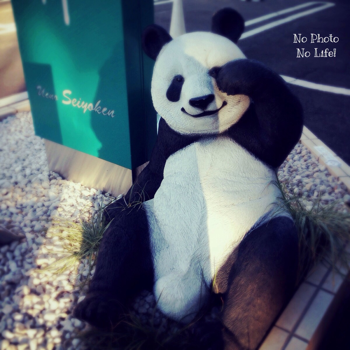 f:id:amelie43:20150109001319j:plain f:id:amelie43:20150109001319j:plain