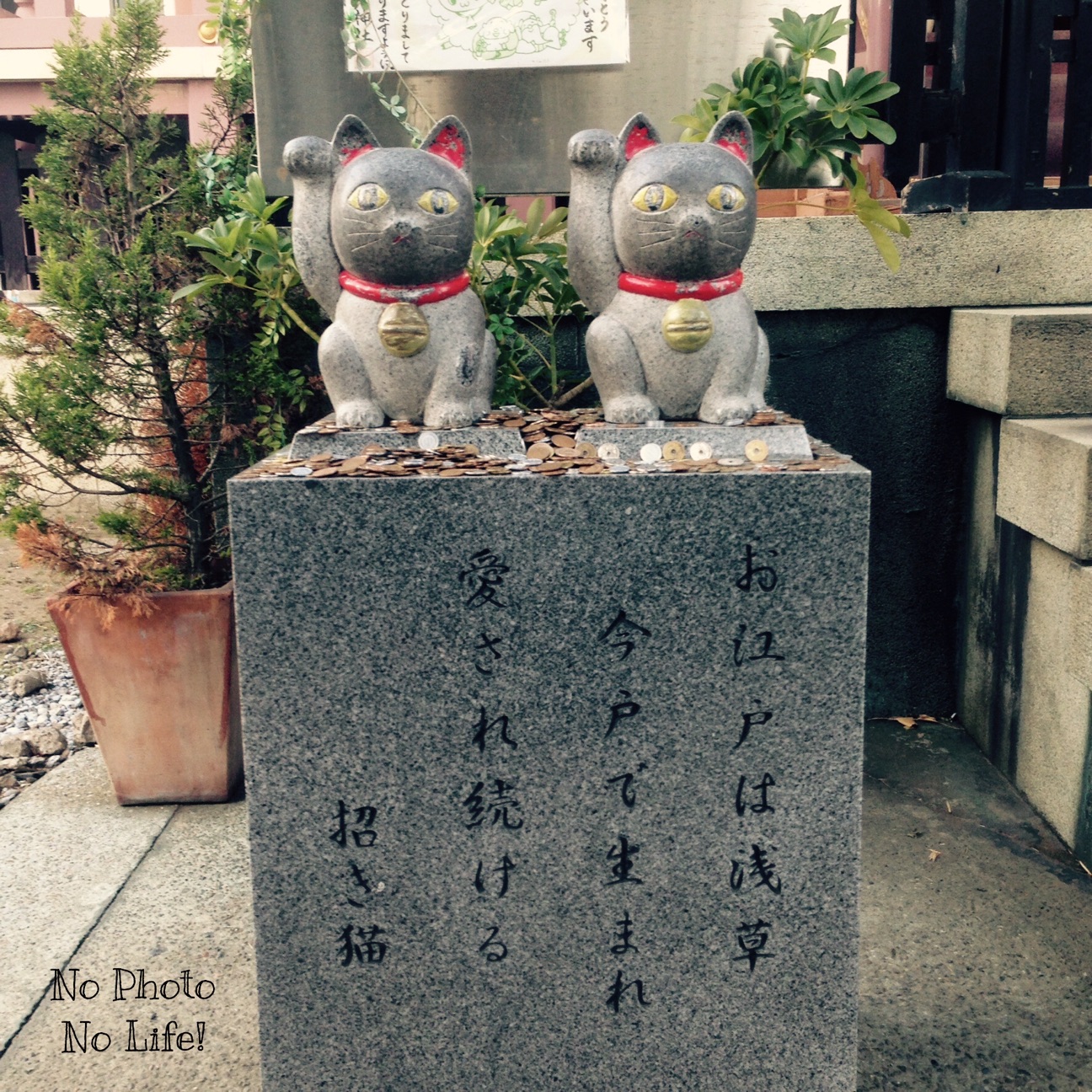 f:id:amelie43:20150109003919j:plain f:id:amelie43:20150109003919j:plain