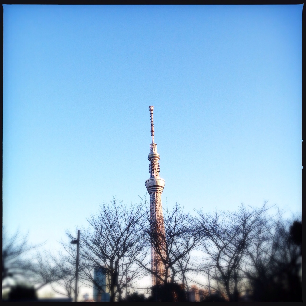 f:id:amelie43:20150110153124j:plain f:id:amelie43:20150110153124j:plain