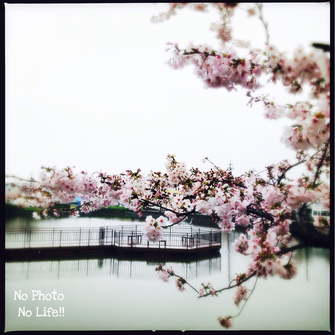 f:id:amelie43:20150403172913j:plain f:id:amelie43:20150403172913j:plain