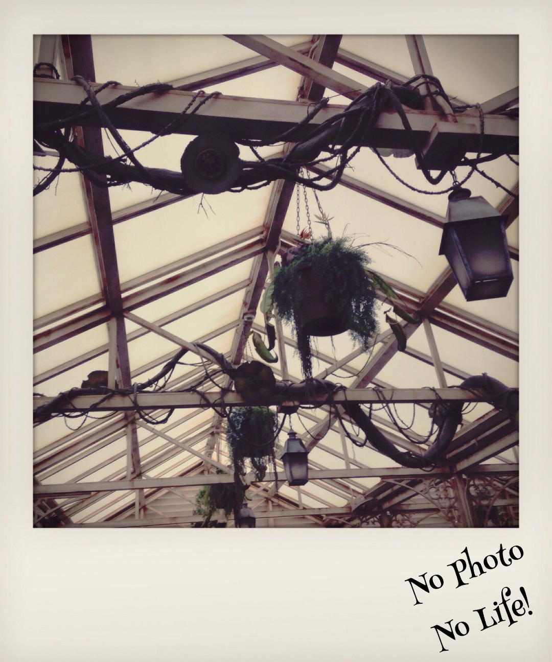 f:id:amelie43:20150521001805j:image f:id:amelie43:20150521001805j:image