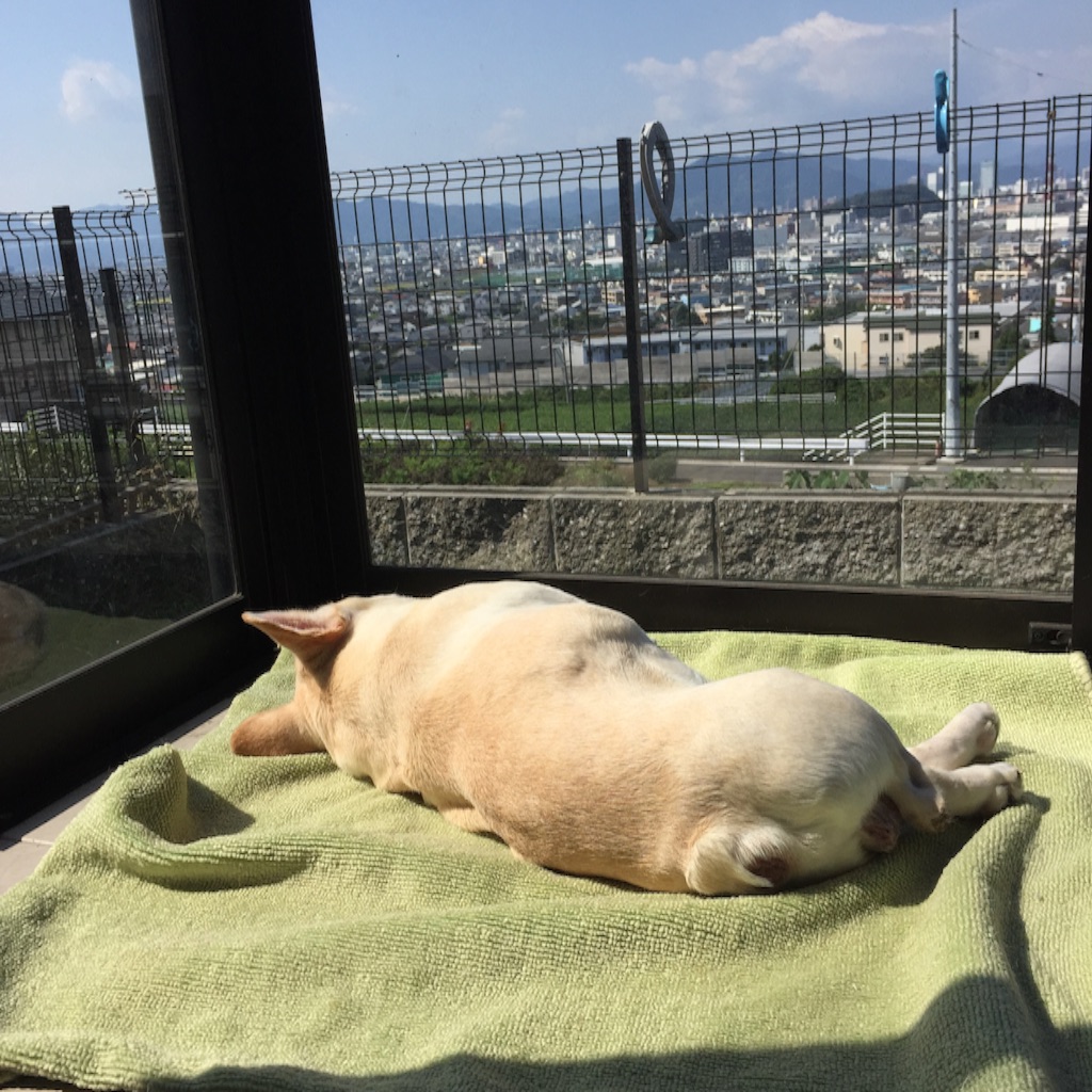 f:id:amelie43:20151009212503j:image f:id:amelie43:20151009212503j:image